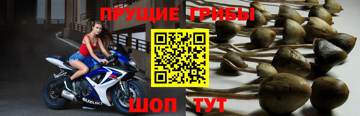 Псилоцибиновые грибы Magic Shrooms  Вход с VPN  Электросталь  Галлюциногенные грибы мухоморы 