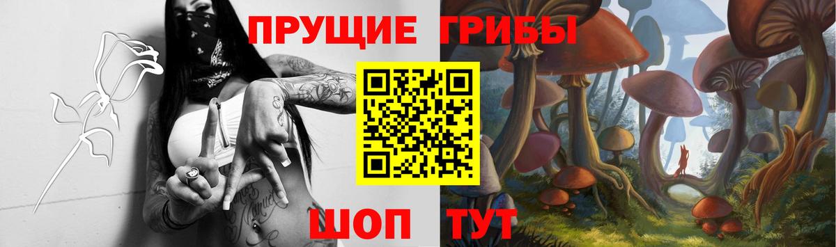 Галлюциногенные грибы Psilocybine cubensis Электросталь